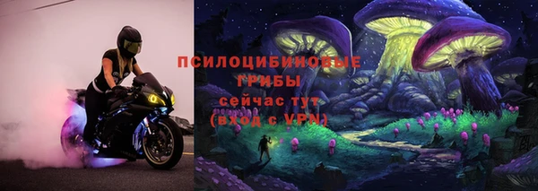 ешки Алзамай