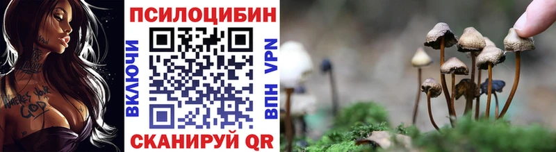 Псилоцибиновые грибы мухоморы  где можно купить   Орлов 